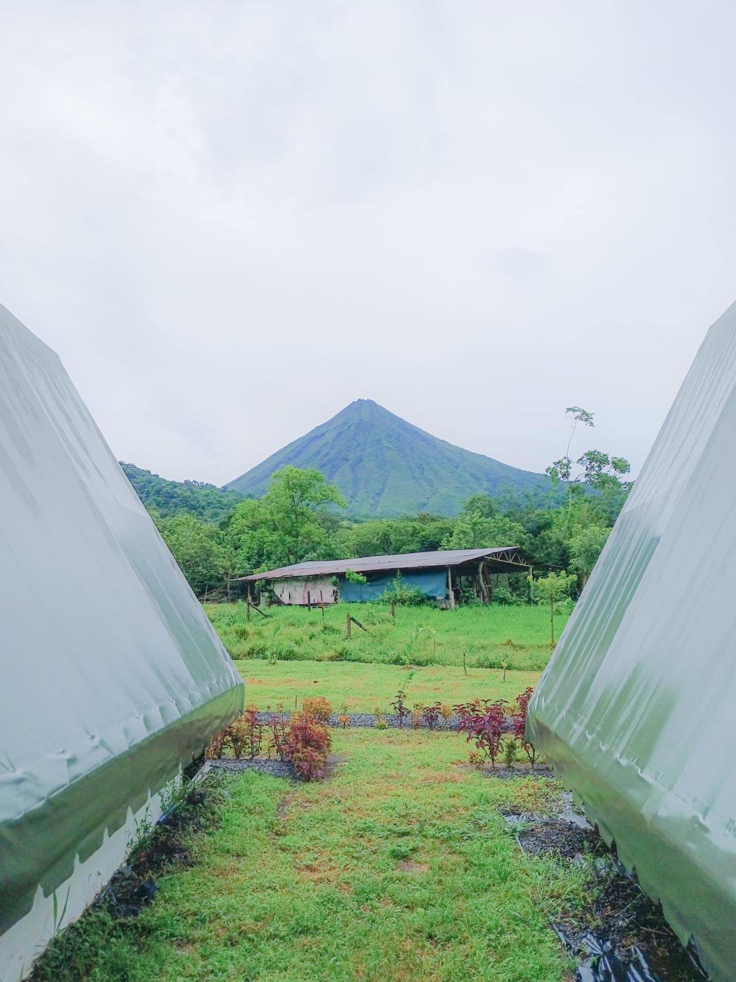 Flora Glamping De Abuela Villa La Fortuna Bagian luar foto