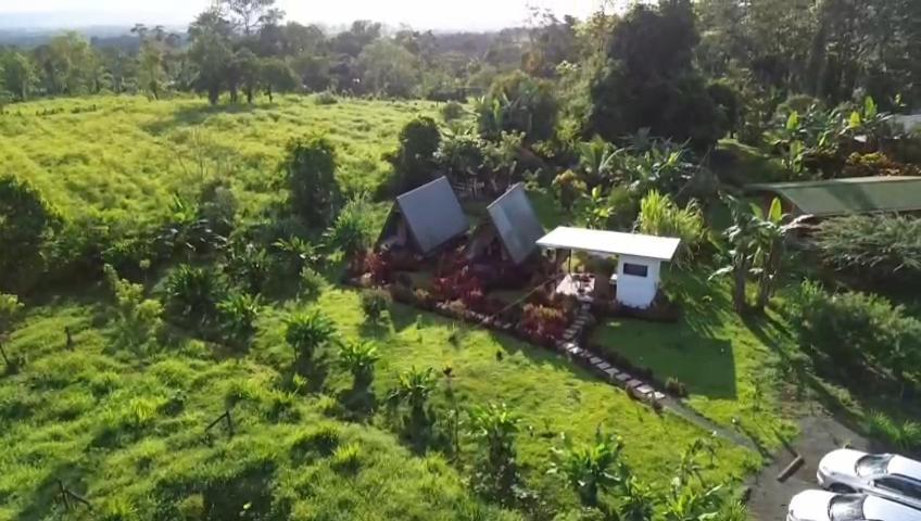 Flora Glamping De Abuela Villa La Fortuna Bagian luar foto
