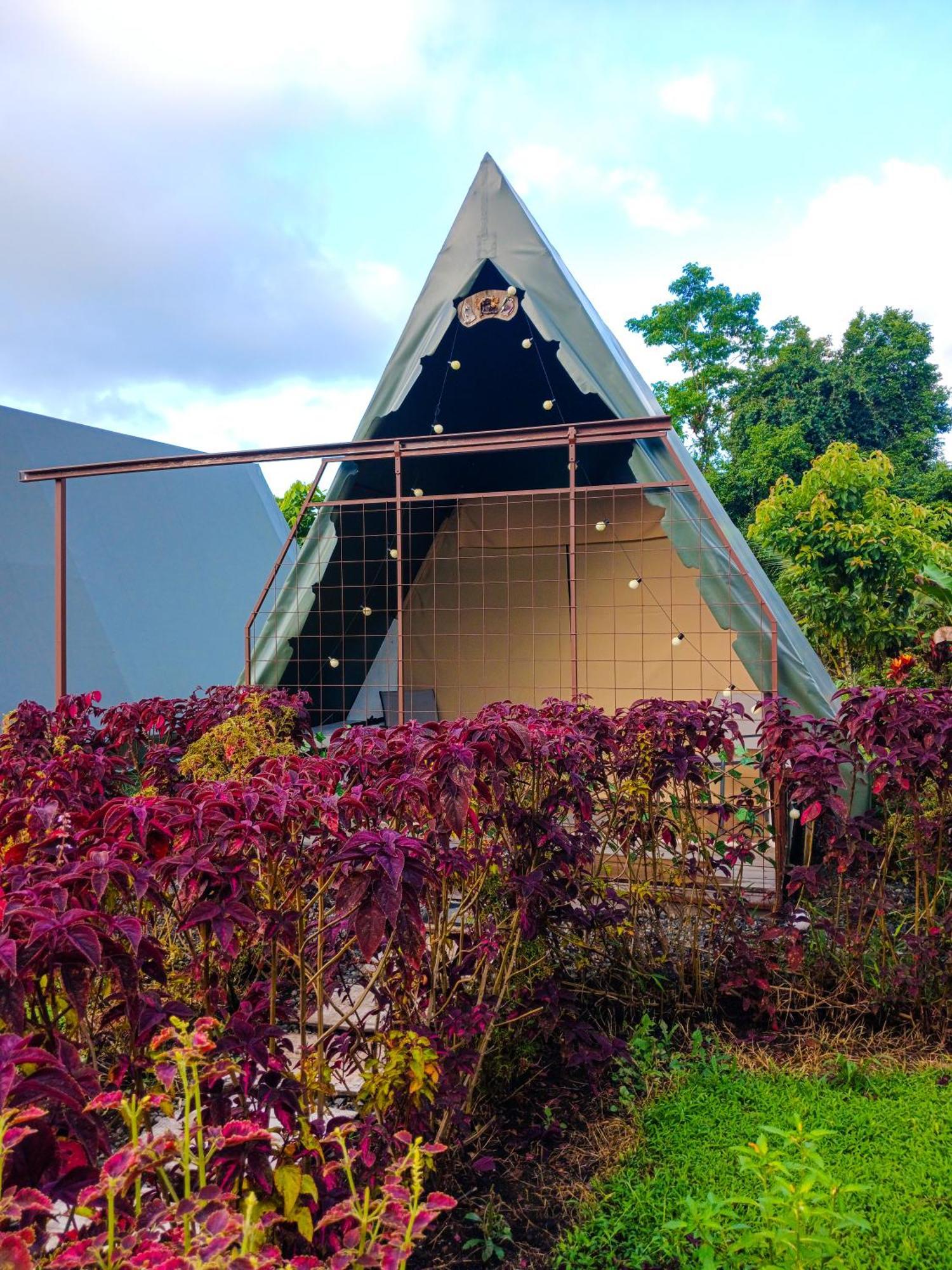 Flora Glamping De Abuela Villa La Fortuna Bagian luar foto
