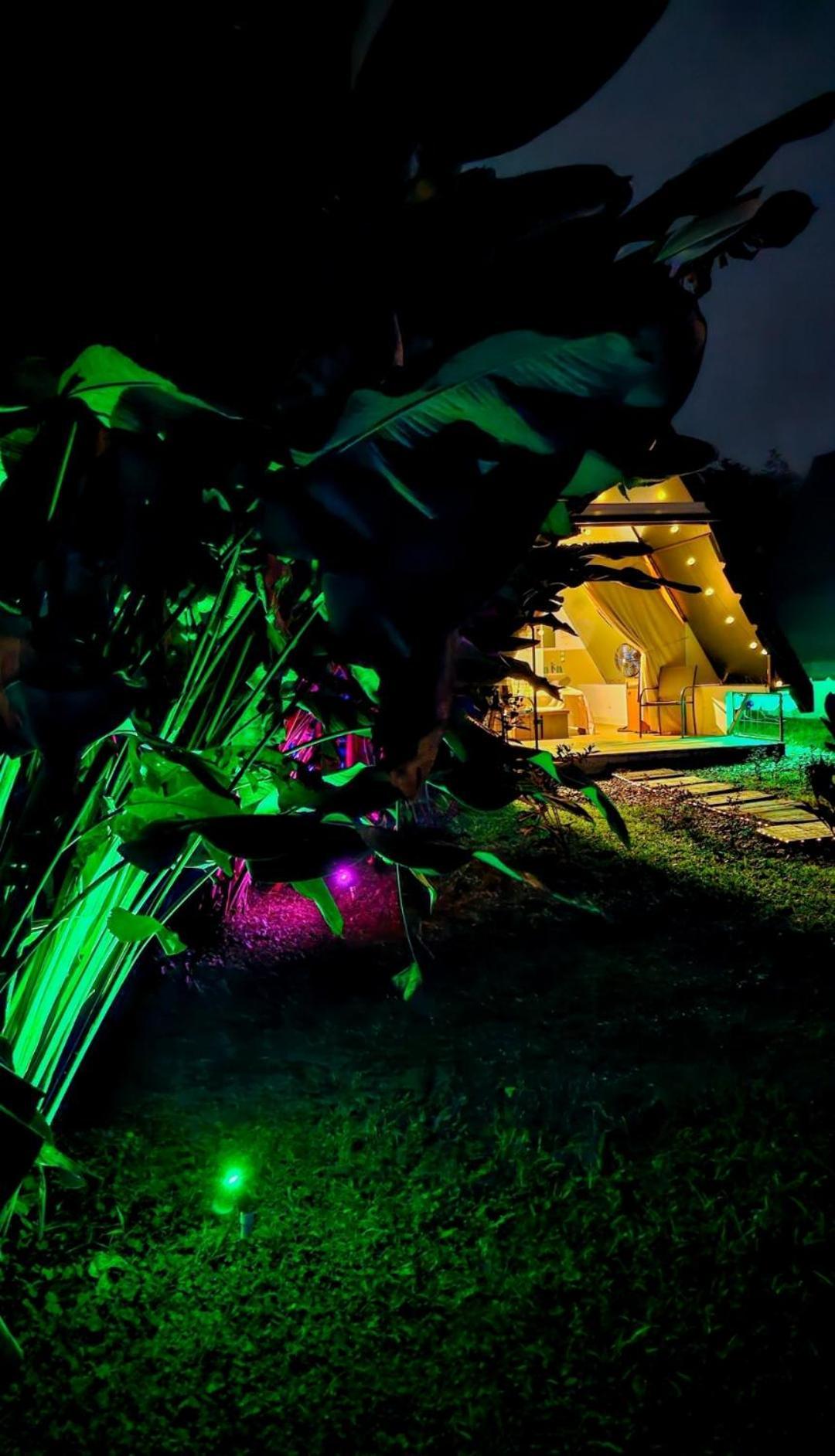 Flora Glamping De Abuela Villa La Fortuna Bagian luar foto