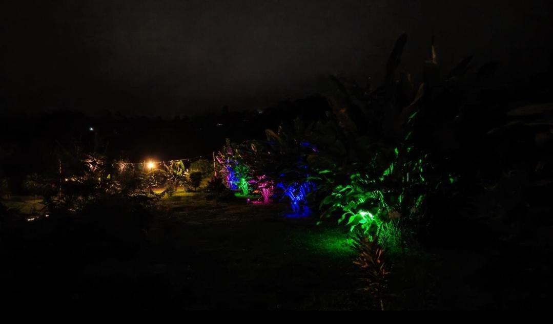 Flora Glamping De Abuela Villa La Fortuna Bagian luar foto