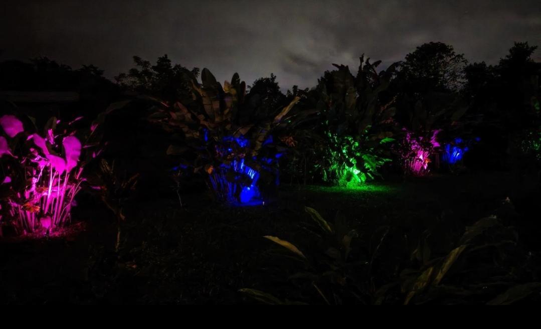 Flora Glamping De Abuela Villa La Fortuna Bagian luar foto