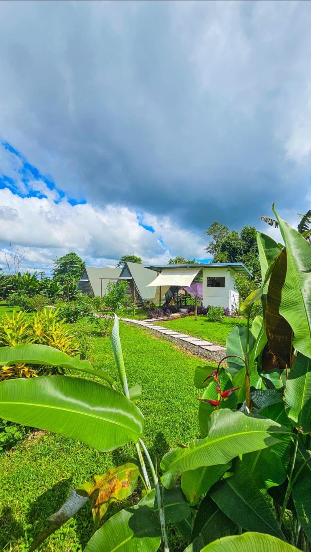 Flora Glamping De Abuela Villa La Fortuna Bagian luar foto